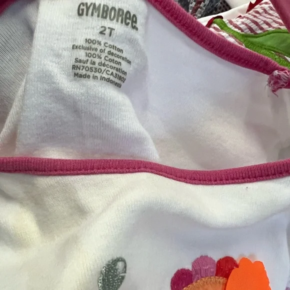 Girls clothing lot sizes 3-6 months, 6-9 months, 6-12 months, 12-18 months 2T